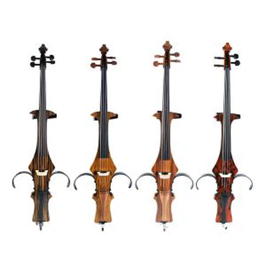 Profesija Advanced Electric Cello