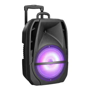 Bluetooth Stage skaļruņi